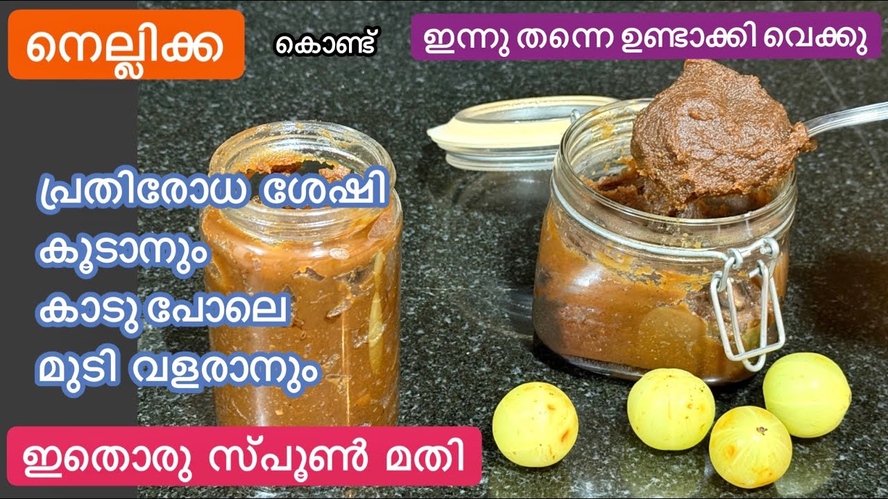 ഉണ്ടാക്കാനും എളുപ്പം//അകാലനര വരാതിരിക്കാനും മുടികൊഴിച്ചിൽ മാറാനും ദഹന പ്രശ്നങ്ങൾക്കും Gooseberry