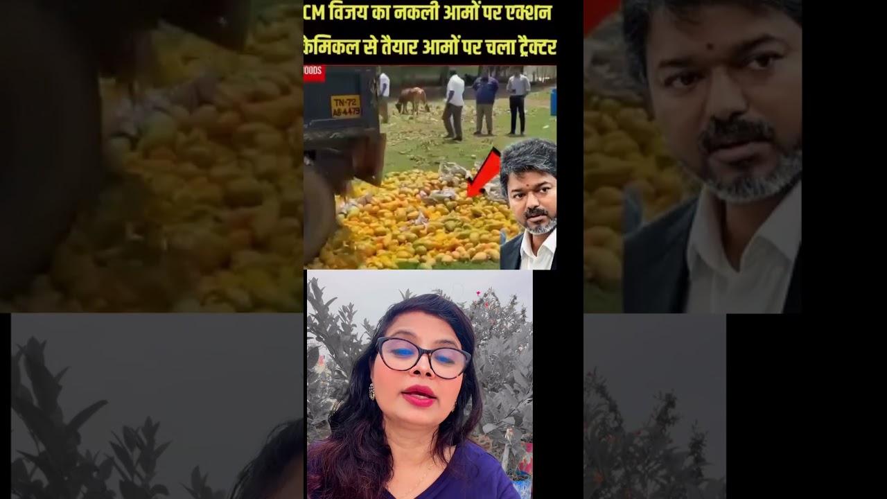 🚨 विजय थालापति का बड़ा एक्शन! जनता के स्वास्थ्य के लिए नष्ट करवाए केमिकल वाले आम! 🥭❌
