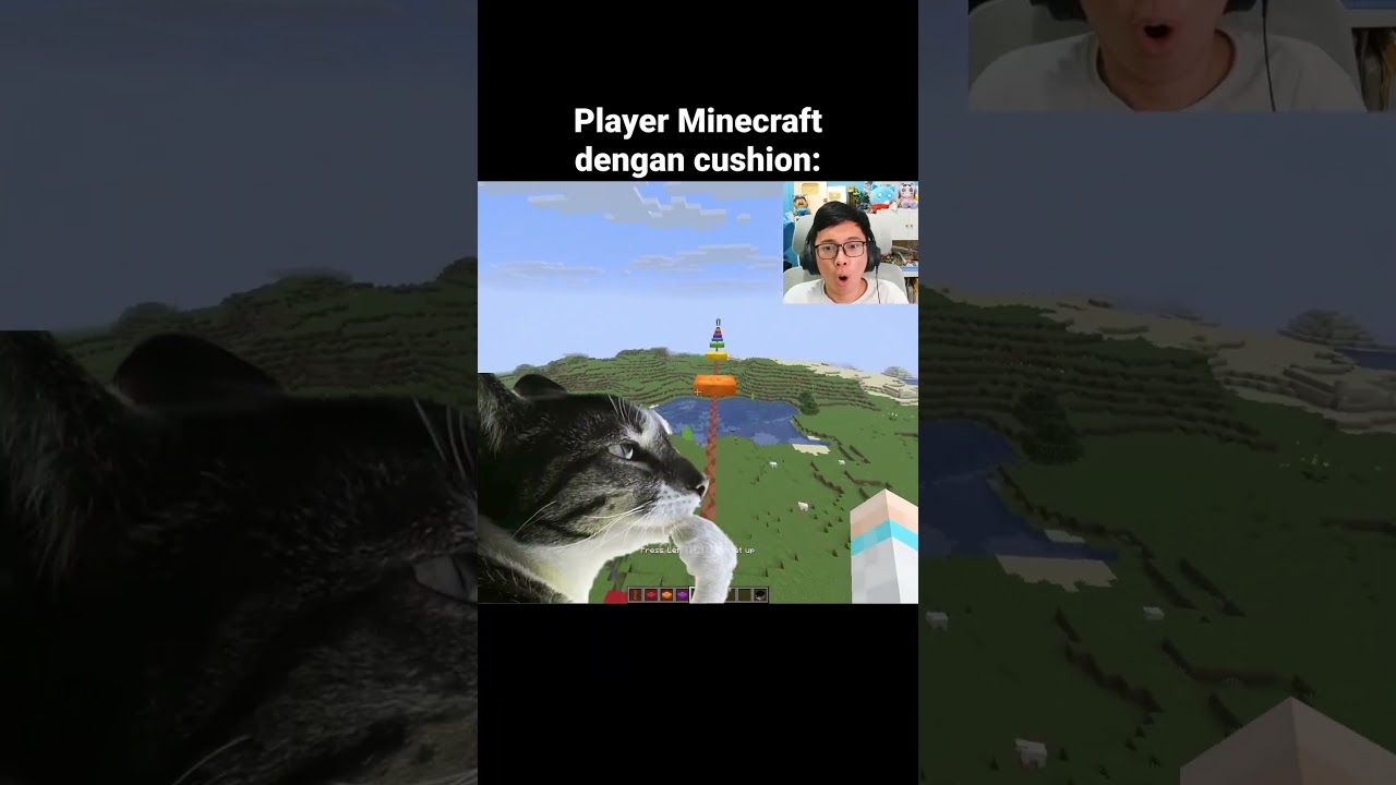 Momen Update Cushion Minecraft