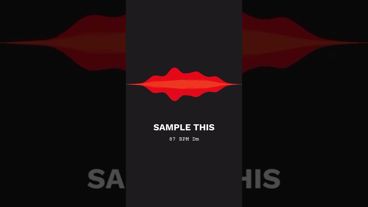 Guitar samples.. #flstudio #beat #music #producer #sampletype #guitar
