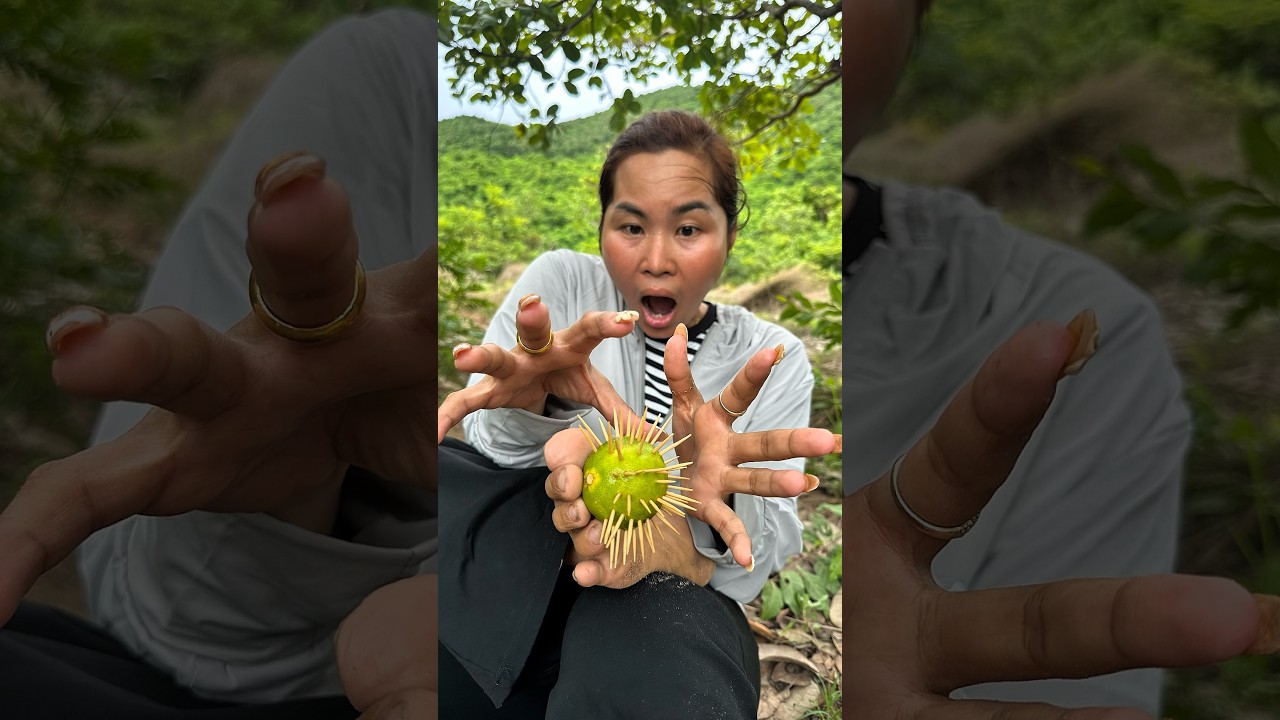 Survival Skills: SMART idea and USEFUL in forest #survival #bushcraft #outdoors #camping