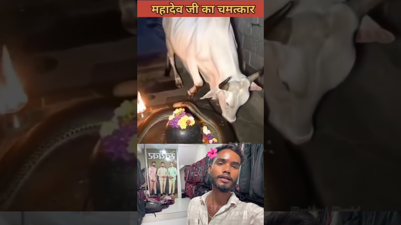 हर हर महाद😭 #challenge #shorts #youtubeshorts #bhakti #reels #emotional #mahadev #videos #trending