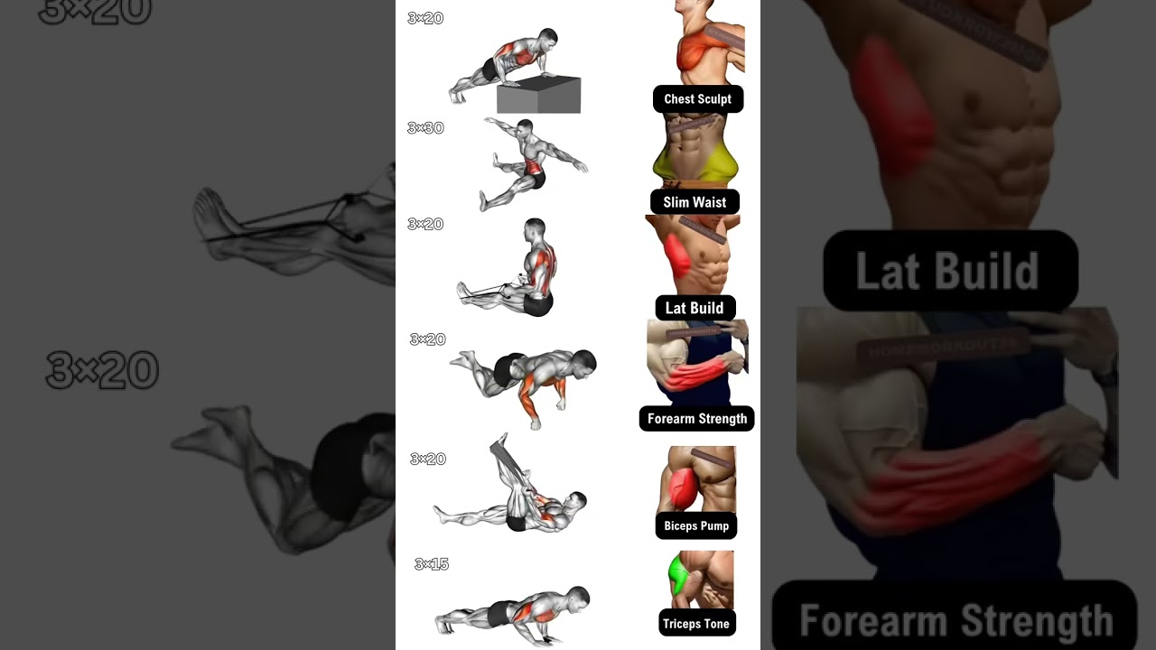 💪 6 Upper-Body & Core Moves – Just 5 Minutes! 🚀No equipment, no excuses
