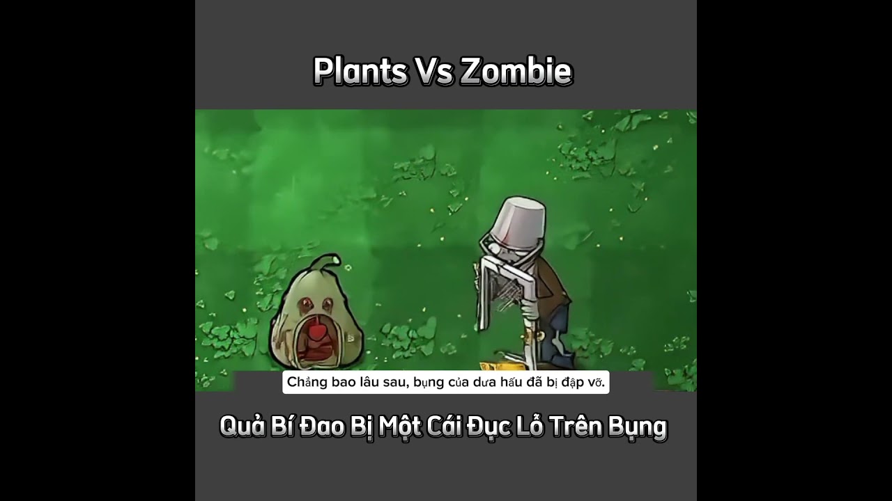 Tập 255 | Quả Bí Đao Này Bị Đục Một Cái Lỗ Trên Bụng #shorts #plants #animation #pvz