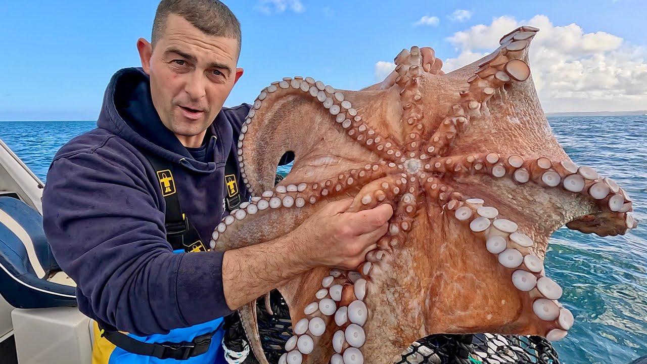 First hauls of the FishLocker Lobster Pots - Will we get way from the OCTOPUS?? | The Fish Locker