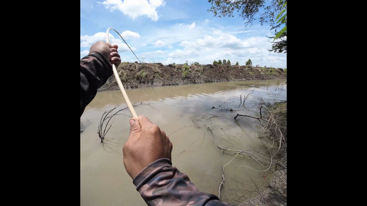 เหยื่อง่ายๆ ได้ปลาหลากหลาย..!! #ออกมาหากิน #fishing #ตกปลา #ตกปลาหน้าดิน
