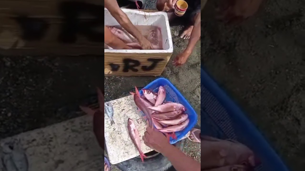 Dagat ang saksi sa aming sipag at tiyaga. #youtube #shorts #ytshorts