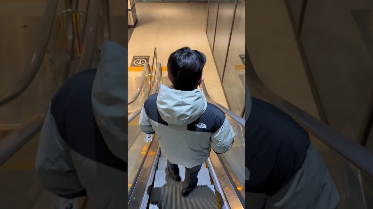 왕과사는남자 단종님뵙고 온 후기 #vlog #브이로그 #일상 #youtubeshorts #shorts #커플 #couple #결혼 #wedding #좋아요