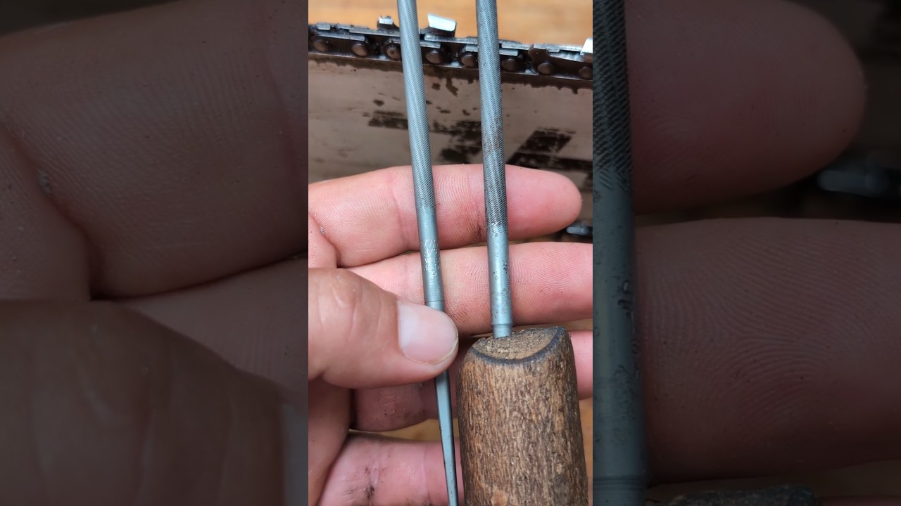 ¿Qué número de lima usar para afilar una motosierra? 🤔 #chainsaw #sthil #madera #asmr #woodworking