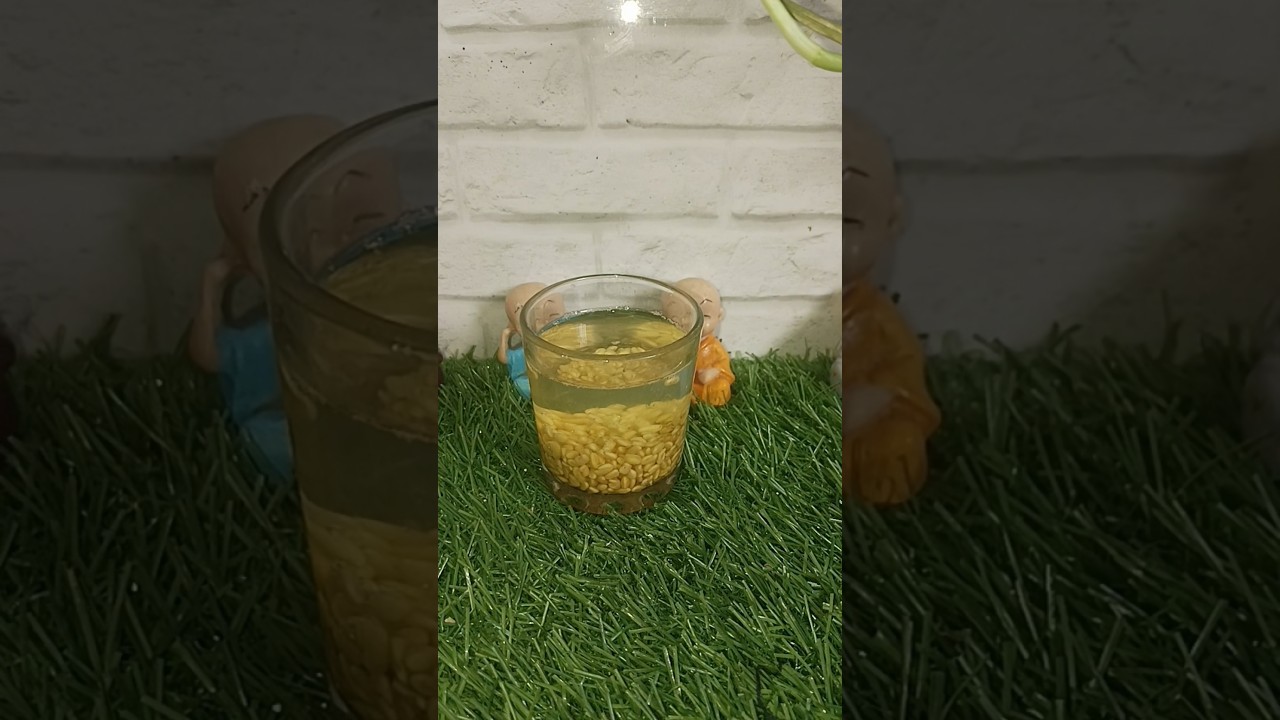 Benefits of Methi Seeds by Dr. Subhash Goyal ji #fenugreekseeds #health #ytshorts #ayurveda #shorts