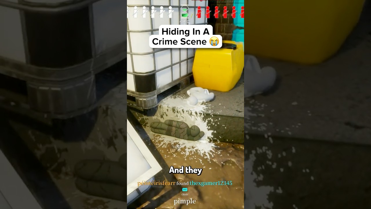 Hiding Right Beside Another Body
