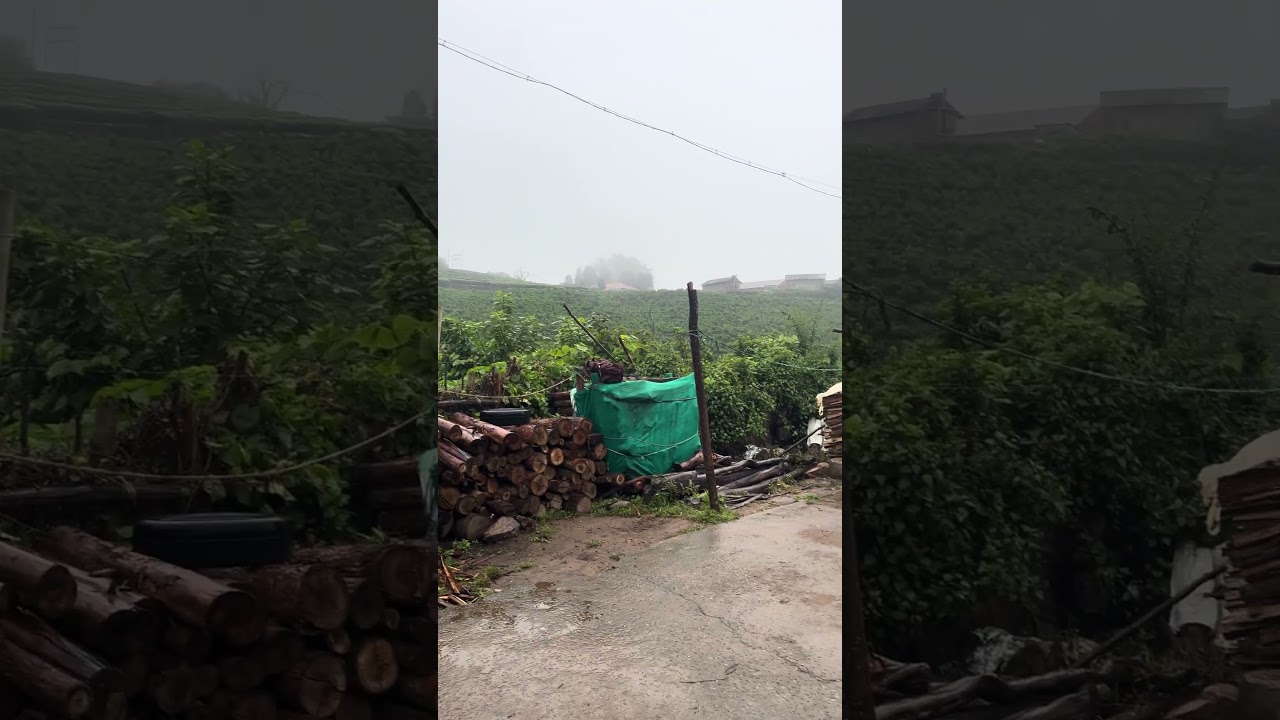 🍃காலை வணக்கம் மக்களே⛈️#munnar #rurallife #dailyvlog #tamil #nature #travel #village