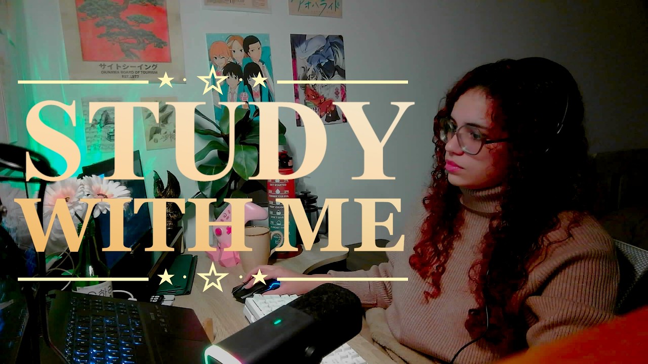 4H ✦ Study With Me 📚 50/10 pomodoro ✦ fireplace sounds🔥