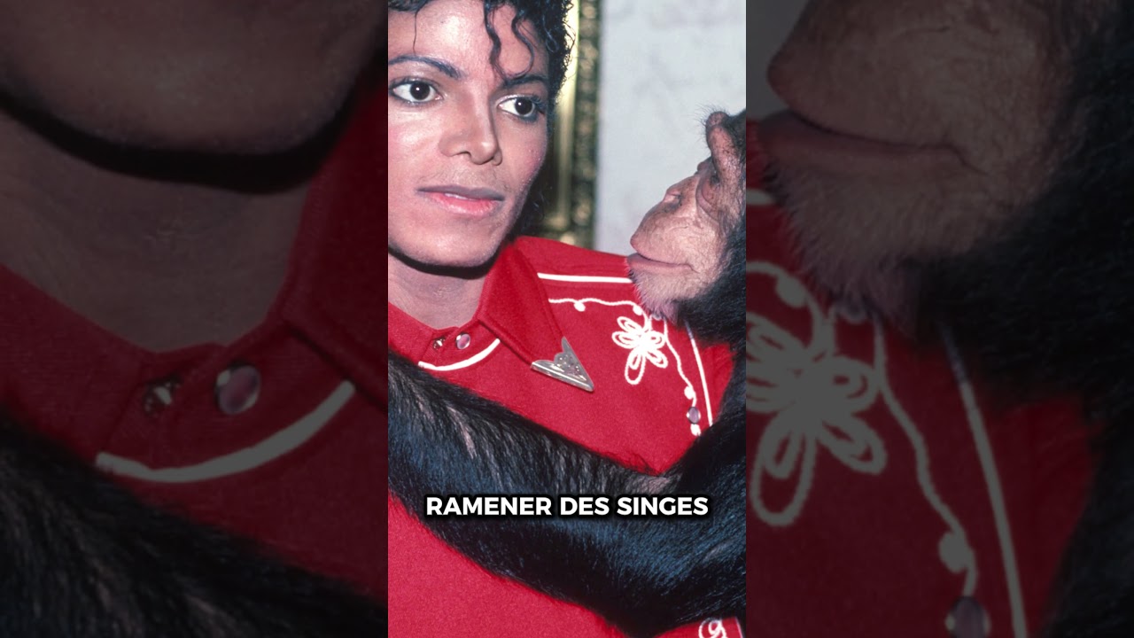 lama super méchant  #biopic #histoire #michaeljackson #freddiemercury