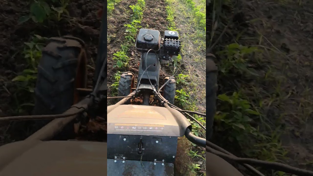 Ghar bhar ke log #farming #minivlog #modernfarmer #nature #villagelife #automobile #sad