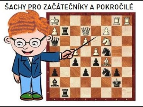 LEKCE ŠACHŮ - začátečníci a mírně pokročilí
