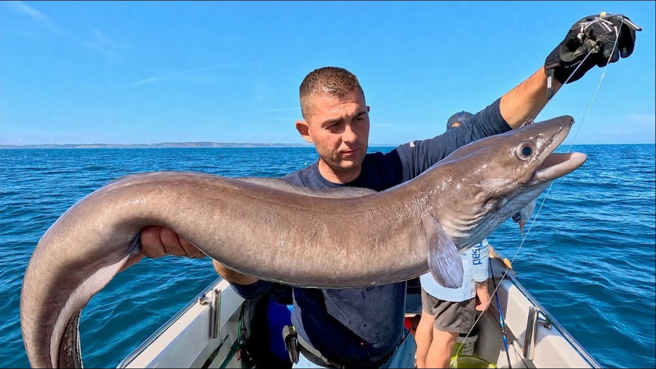Sea Fishing UK - Exploring new areas catches lots of fish!!! | The Fish Locker