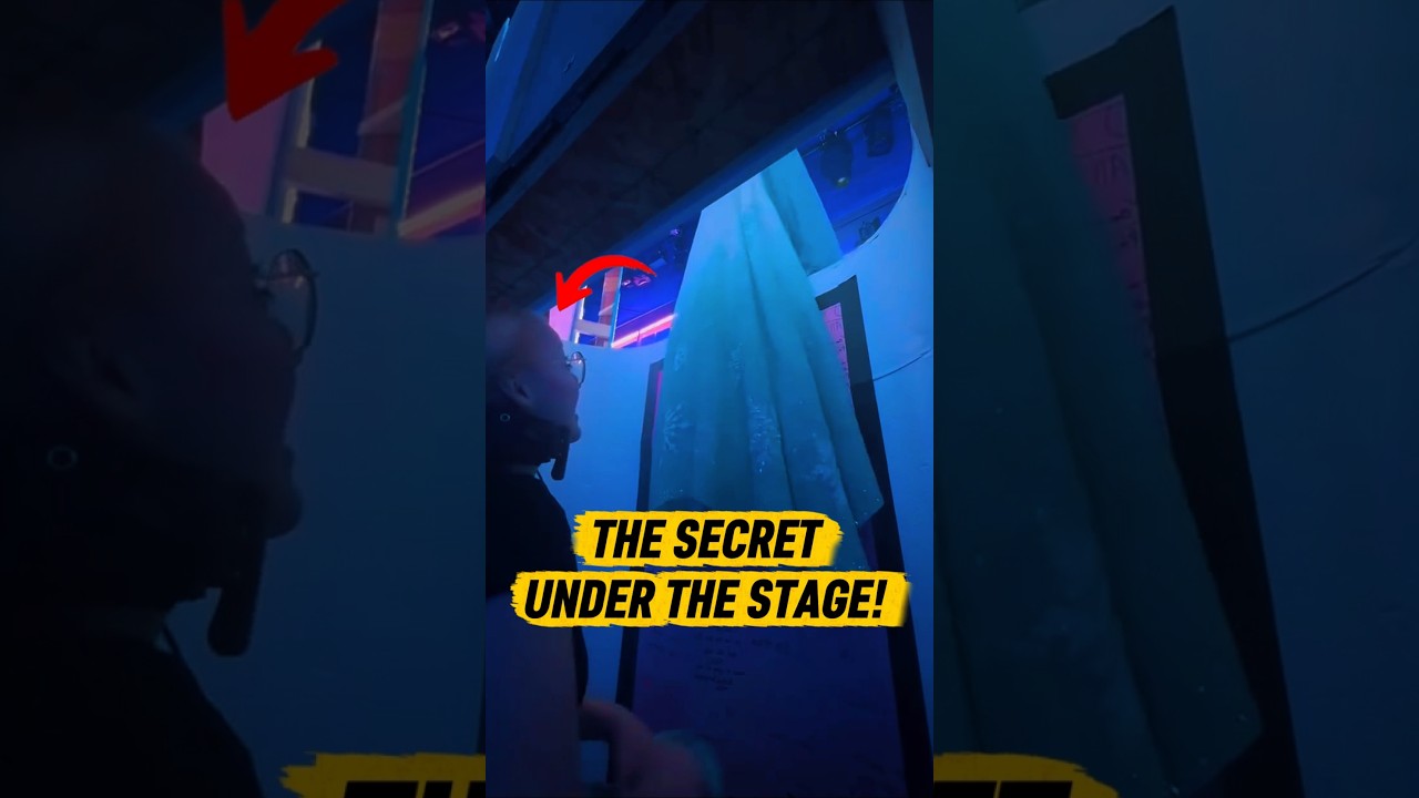 The Hidden Person Behind Elsa’s Amazing Costume Change!