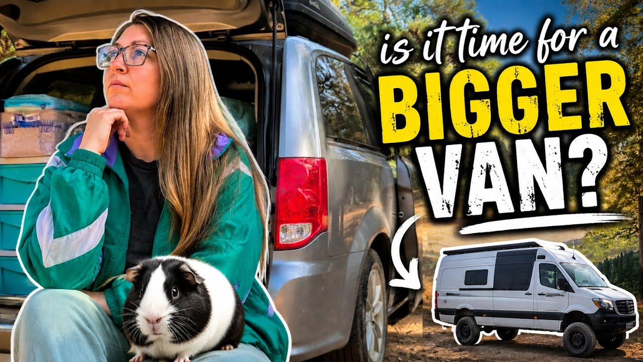 Tiny Van, Tiny Guinea Pig…But HUGE Space Problems | Van Life Challenges I Wasn't Expecting