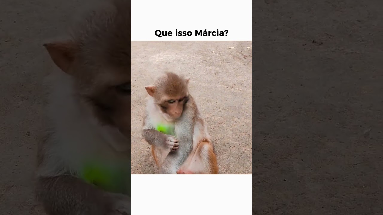 que issoooooo? #fishing #pesca #pescaria #macaco