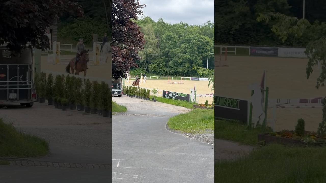 Learning Horse Riding | LGWM| For Beginners #day26 #germany #german #language #horseriding  #shorts