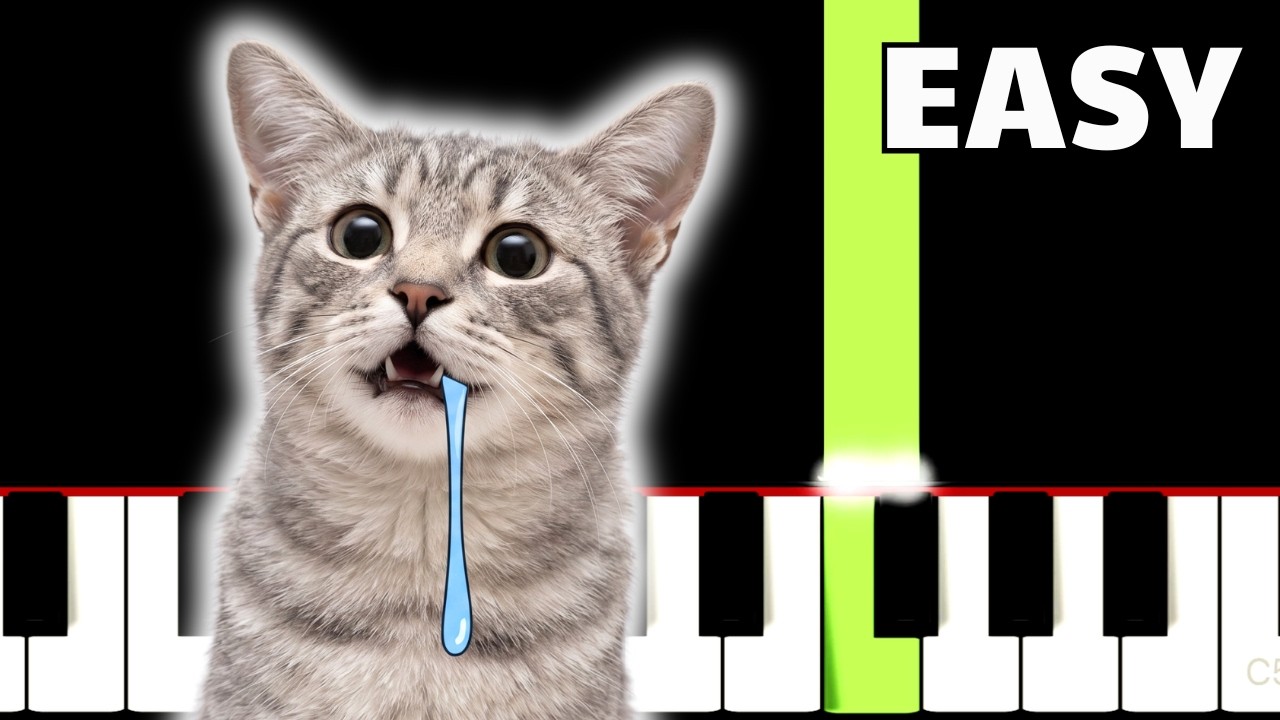 Drooling Cat Meme - EASY Piano Tutorial