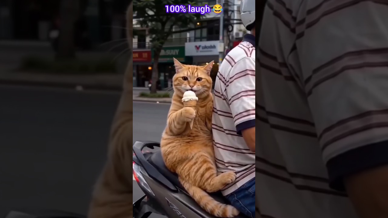 100% laugh 🤣😂🥰 #shorts #funny #comedy #memes #viral