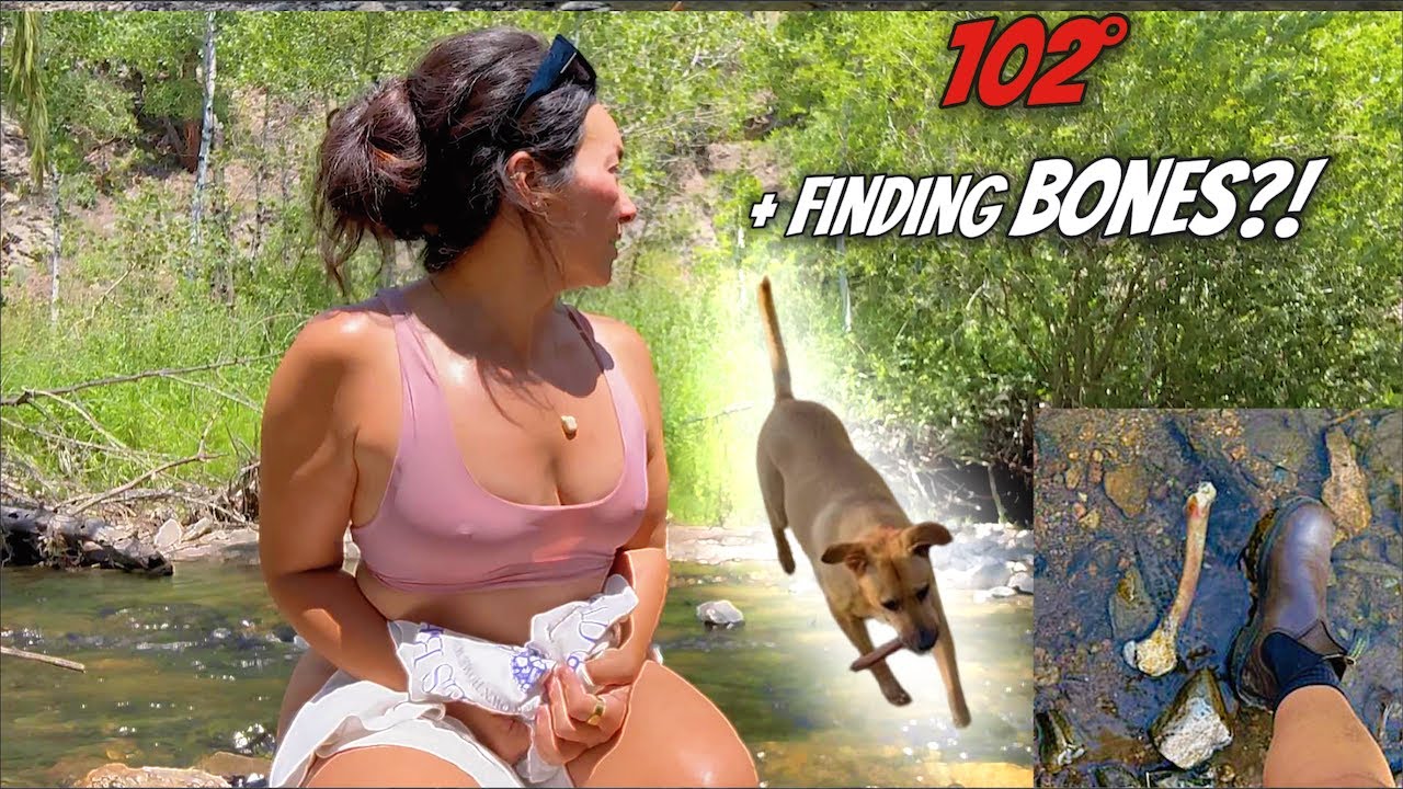 Surviving Van Life in 102° Heat + a Strange Creek Find