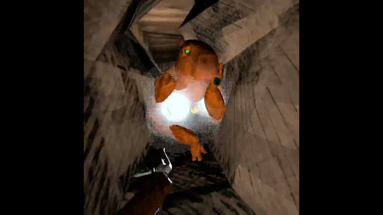 Friendly creature right Bara? #capybara