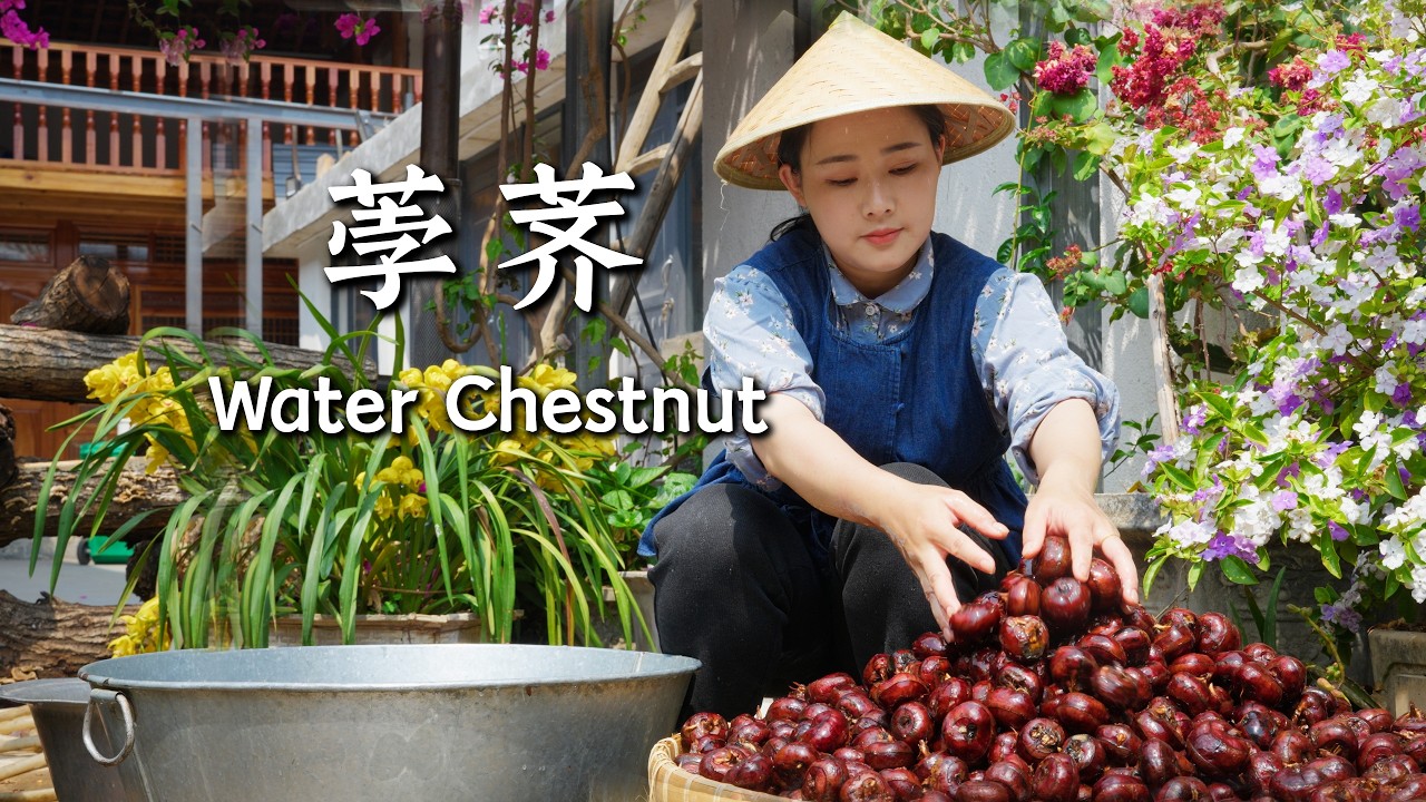 Water Chestnuts — “Snow Pears” Grown Beneath the Fields【滇西小哥】