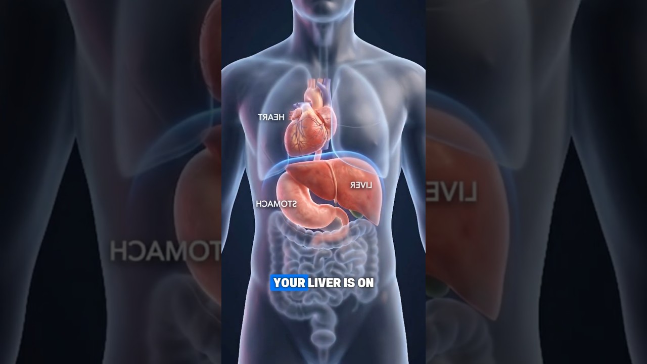 What is Situs Inversus? When Your Organs Are Mirrored! 🪞🩺