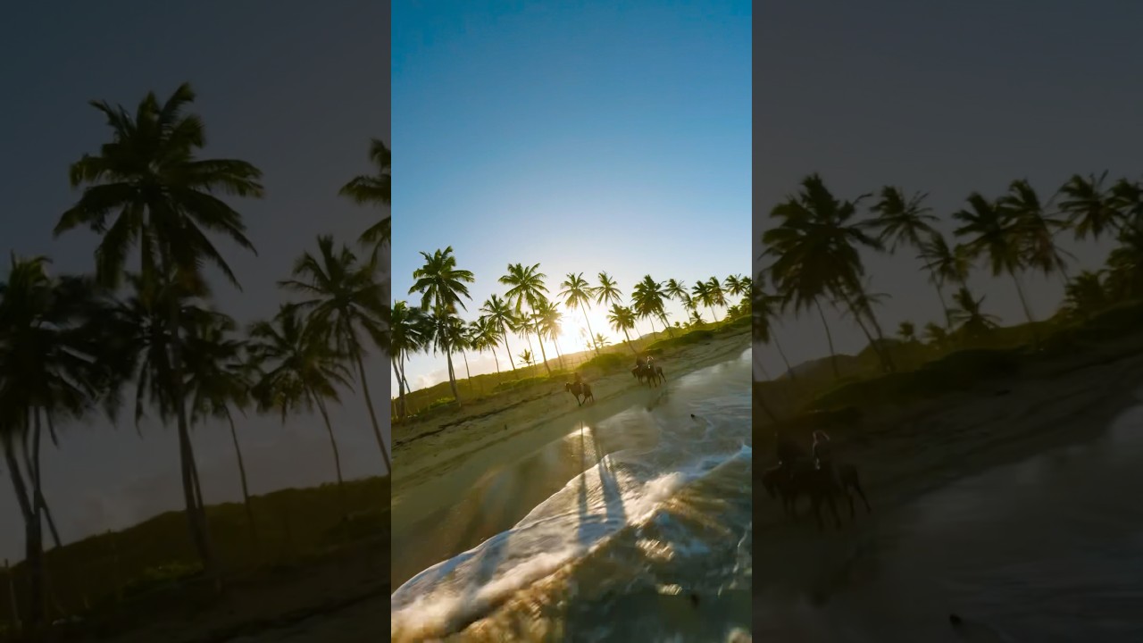 stunning views from kelaFilms 🌴 #DroneRacingLeague