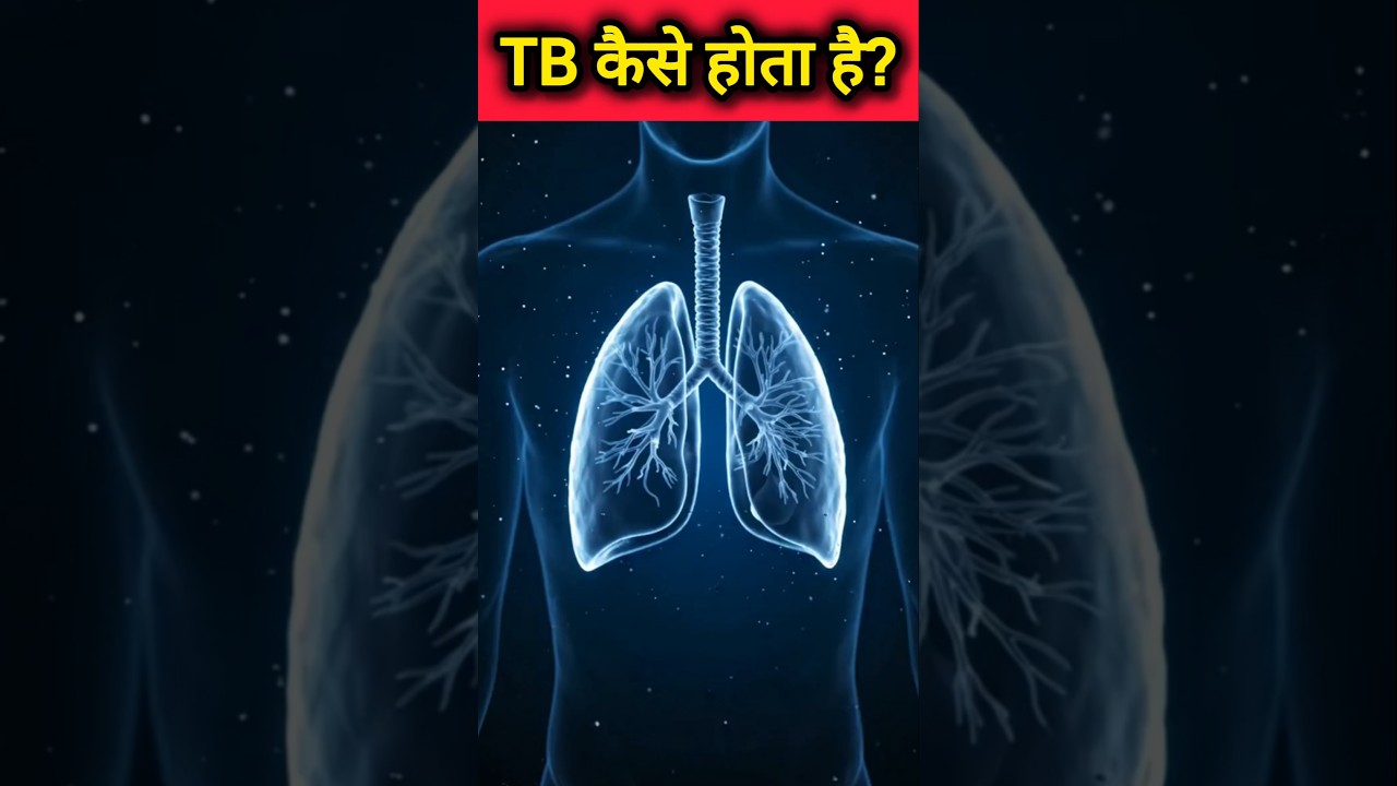 TB Kaise Hota Hai? 😨 3D Animation Se Samjho (Real Truth) Tuberculosis Kaise Failta Hai?
