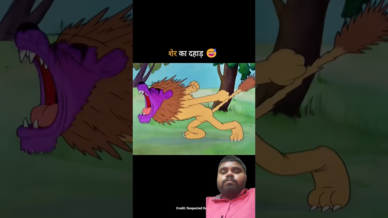 #animation