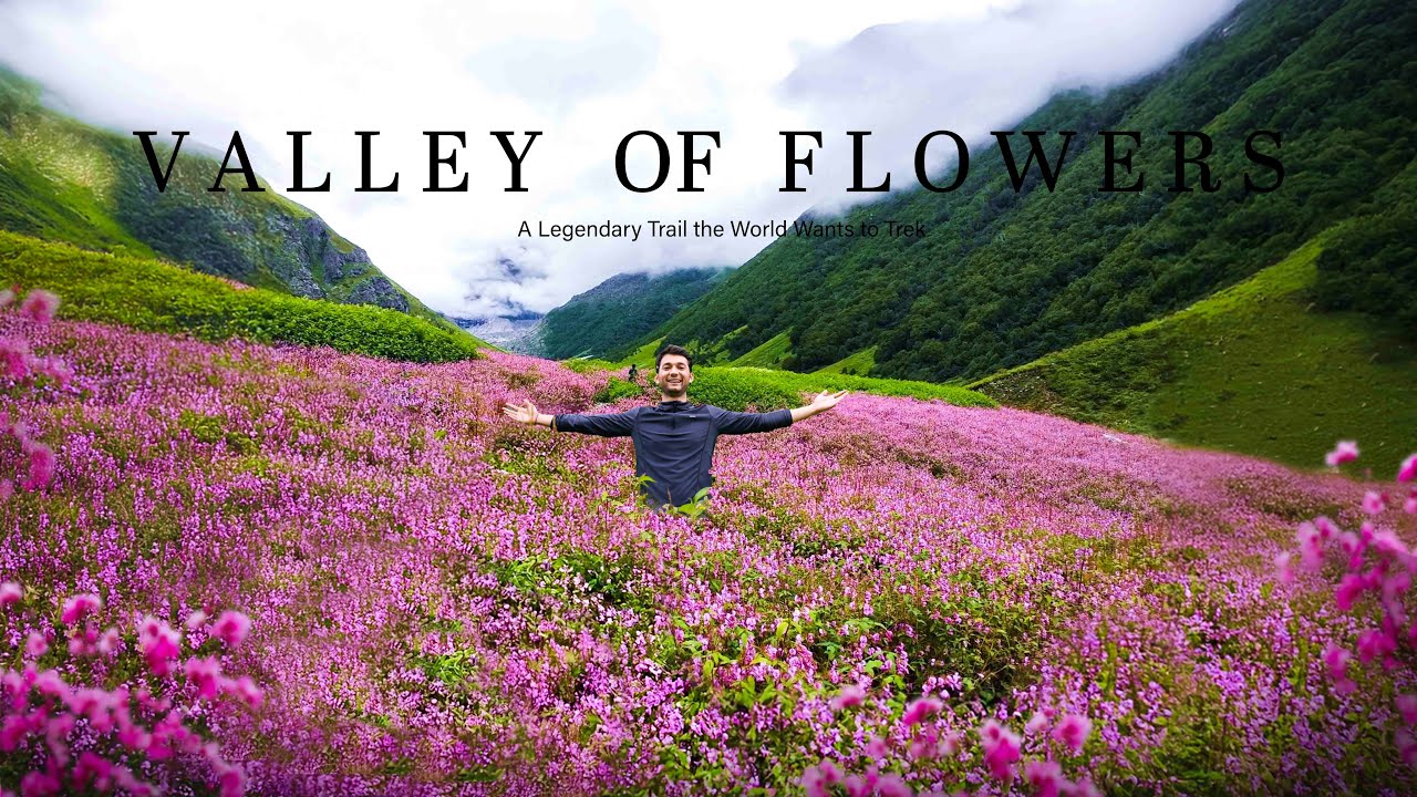 Valley of Flowers | 50km of Hiking Through a Floral Wonderland of Uttarakhand |