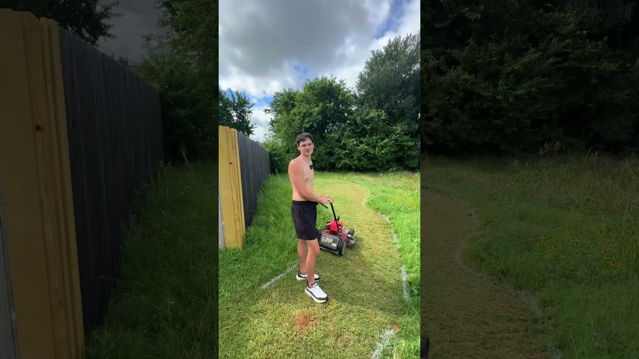 Would you do this to your yard? 🫣 #dad #dadsofyoutube #diy