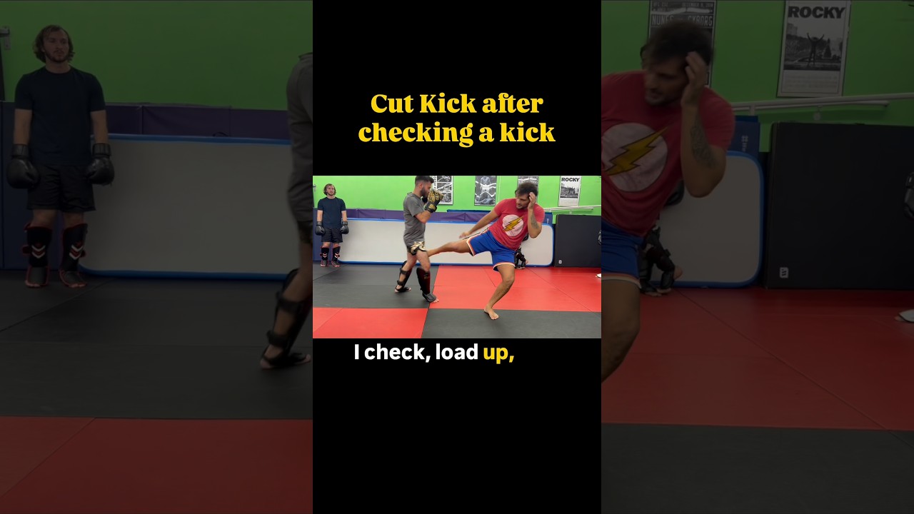 Attacking the kick-hitting a cut kick after a check is an underrated #mma #muaythai #ufc