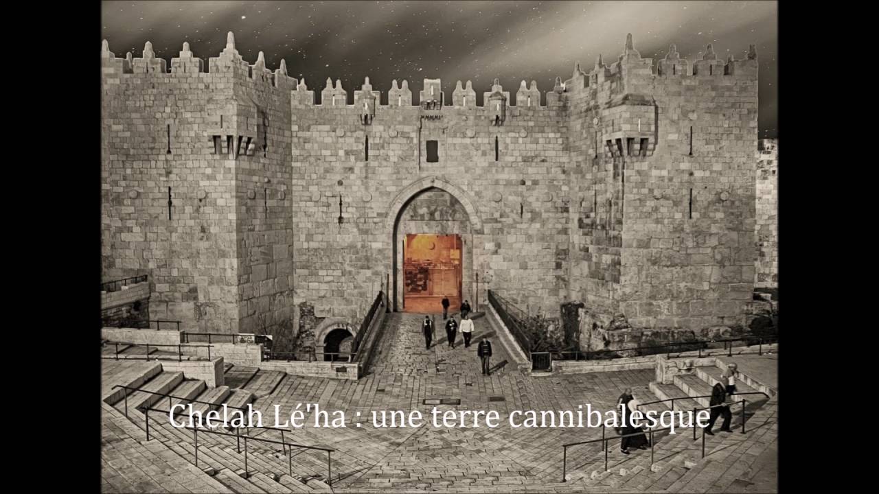 3 minutes sur Chela Léha -  une terre cannibalesque (Rabbin JONAS)
