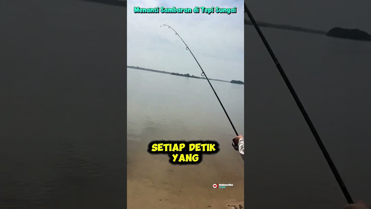 Sensasi Menunggu Sambaran di Tepian Sungai #shortvideo #fishing #faktamenarik