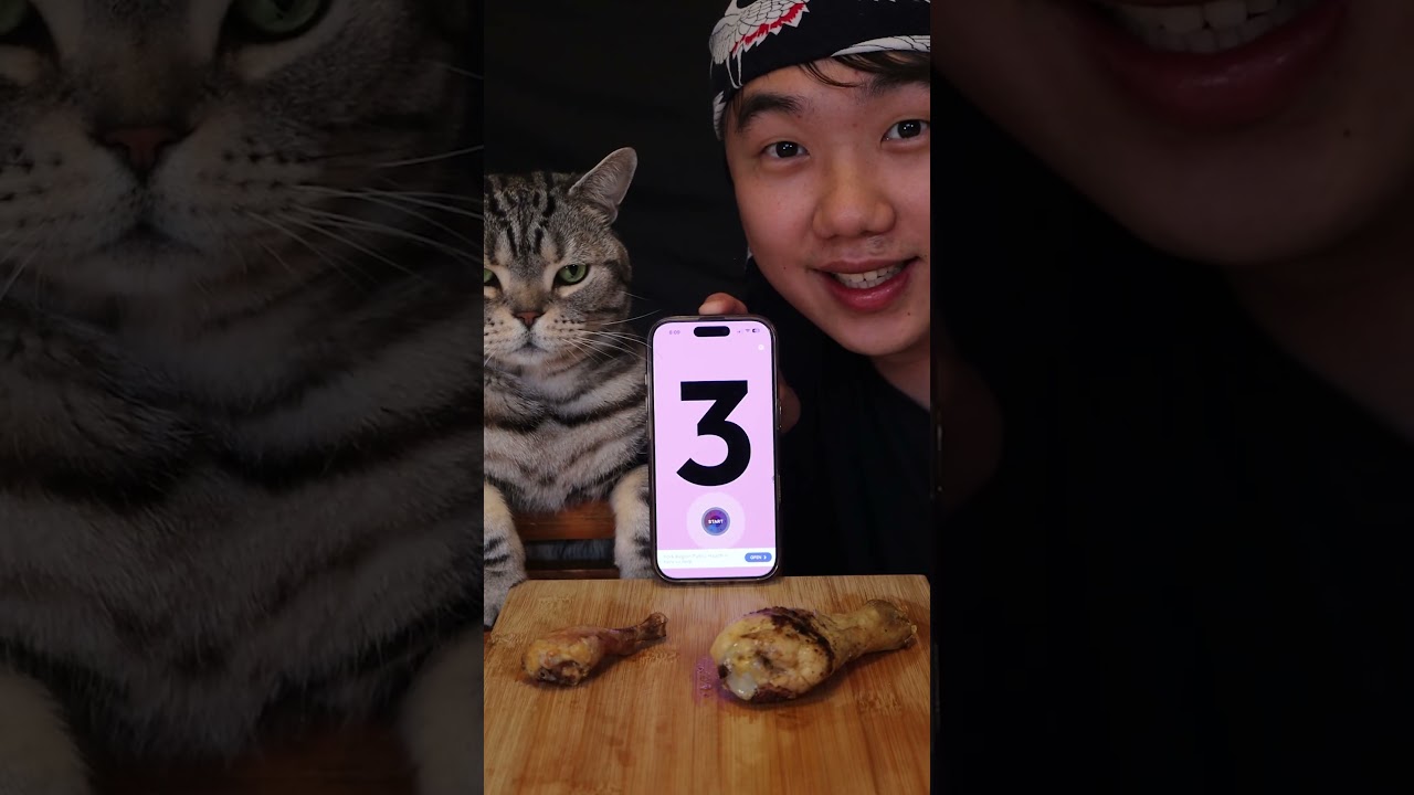 Random bites with my Cat Momo