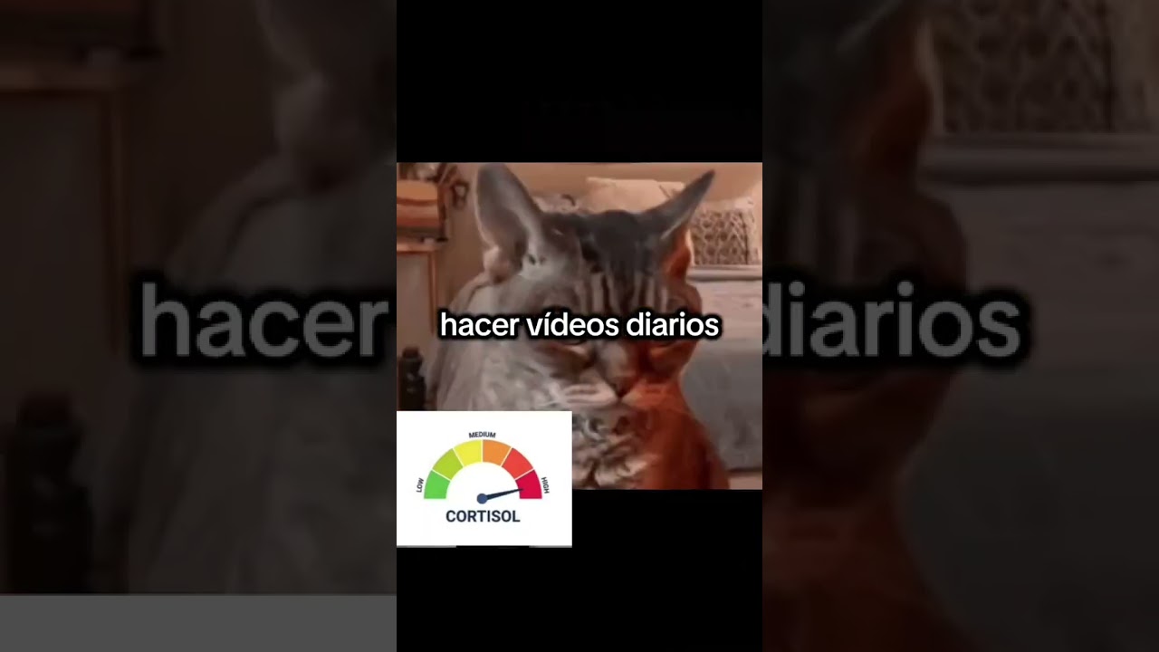 #memes #parati #humor