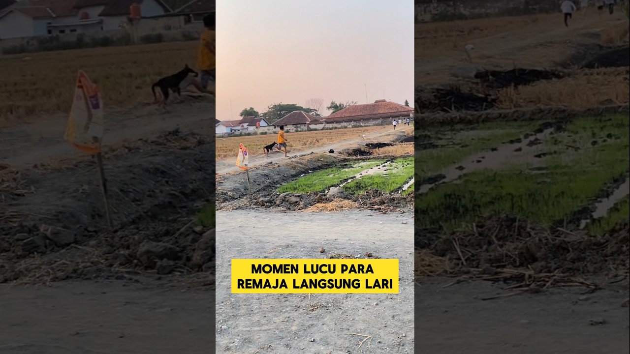 momen lucu para remaja lari kocar-kacir dikejar sama anjing ‼️‼️#lucu #ngakak #funny #kocak #shorts
