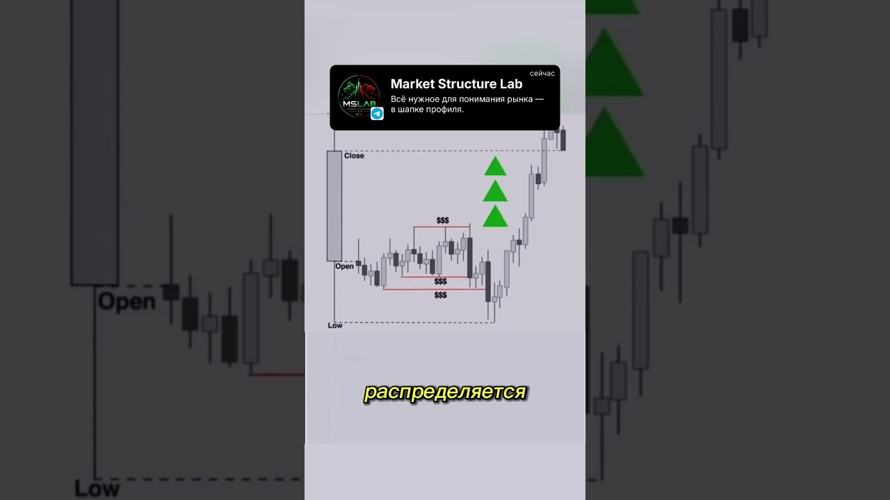 POV3 . Больше в нашем Хабе. #trading #трейдингвью #daytrading #bitcoin #обучениеторговли