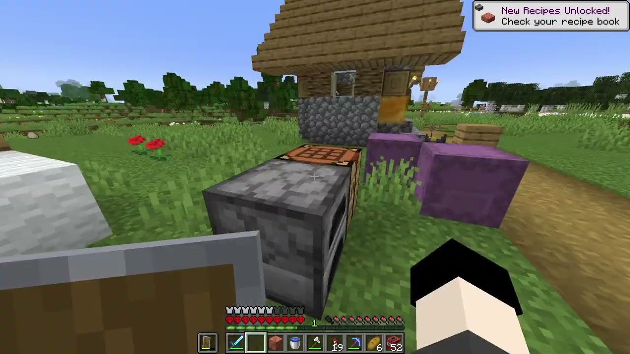 Minecraft(1.17) aa Speedrun HARDCORE Every Version(18/22)