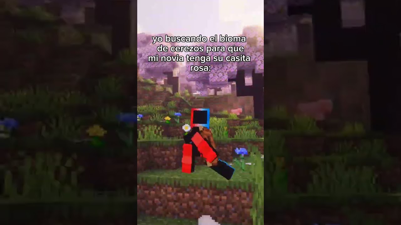 Ahora solo me falta encontrar novia 😞 #minecraft #memes #humor #parati
