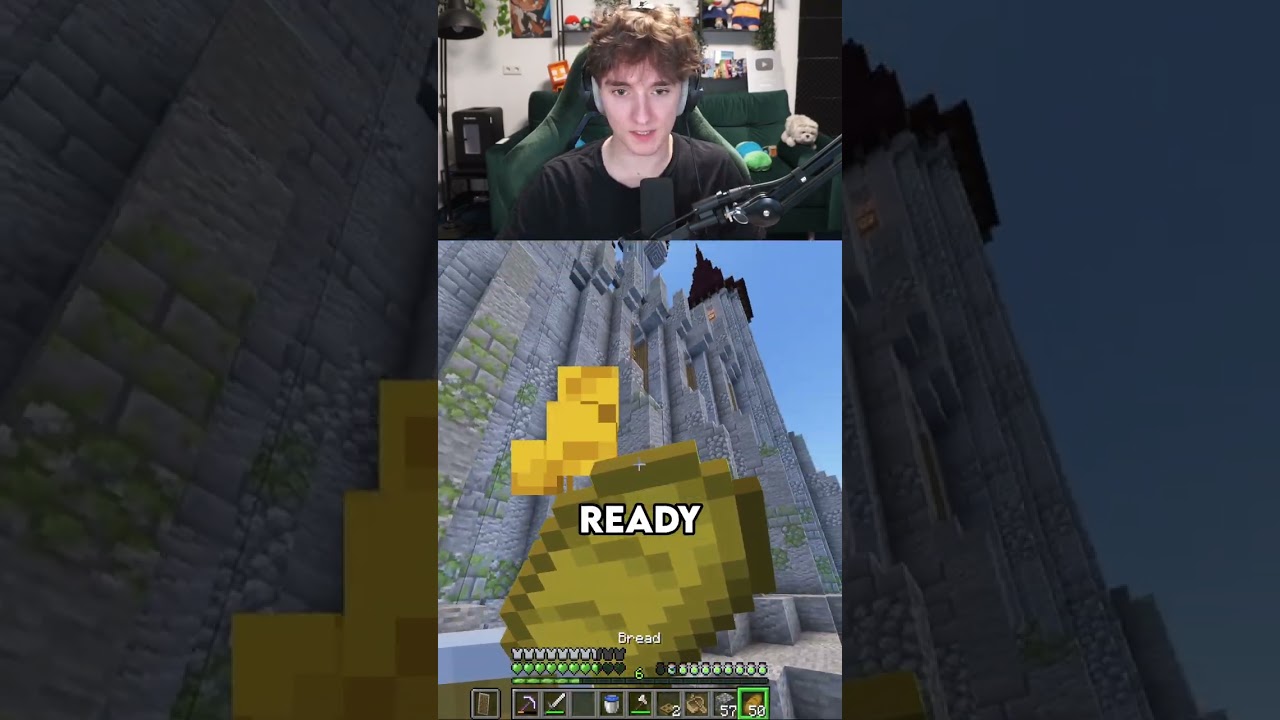 Das ENDE ist SATISFYING! 🫣💚 #diamantSMP #minecraft #platinumdot