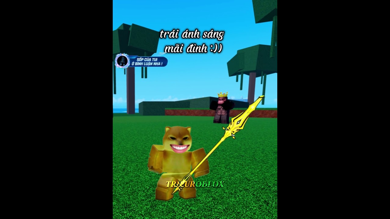 Trái Ánh Sáng qua các sea belike :)) #trieuroblox #memes #hai #cheems #shorts #bloxfruits #lights