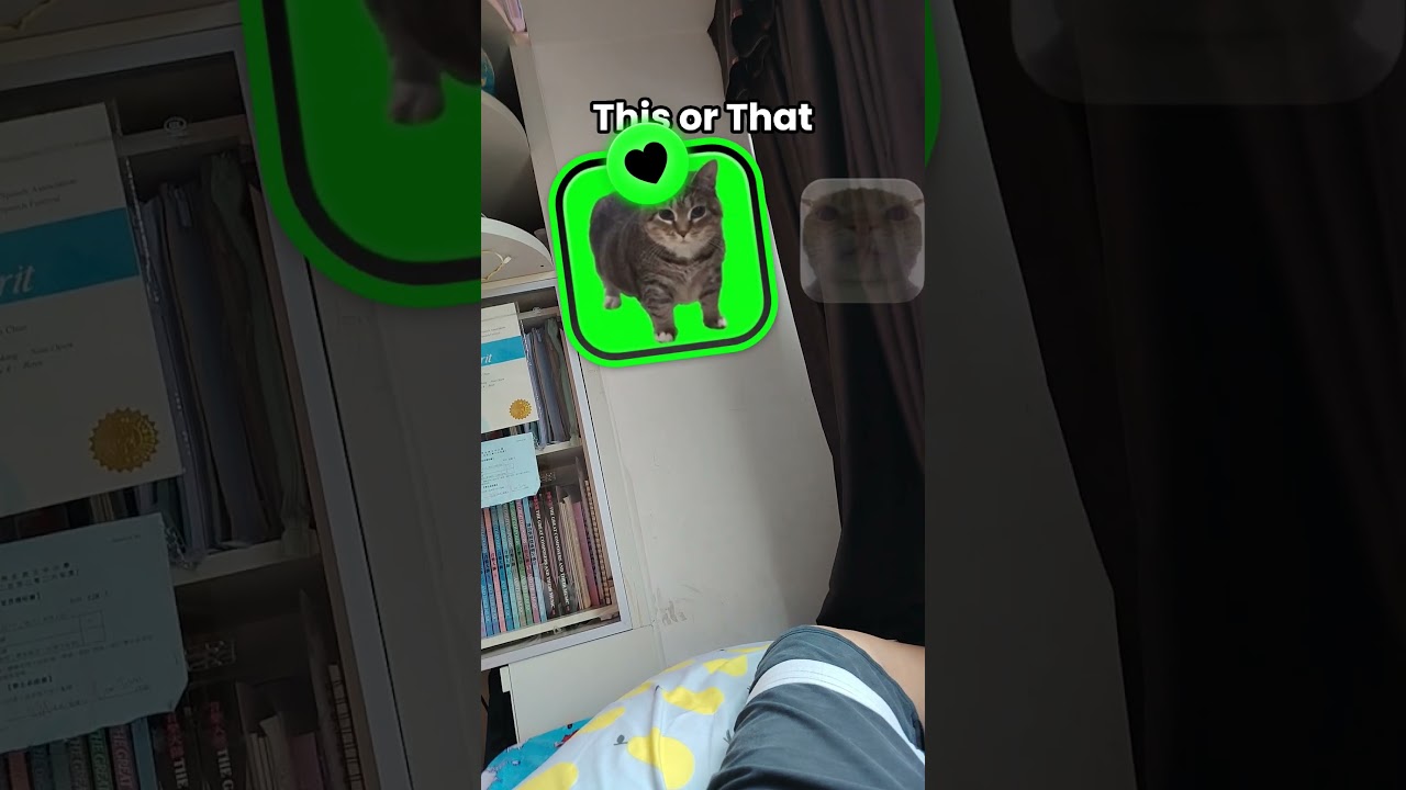 #cat