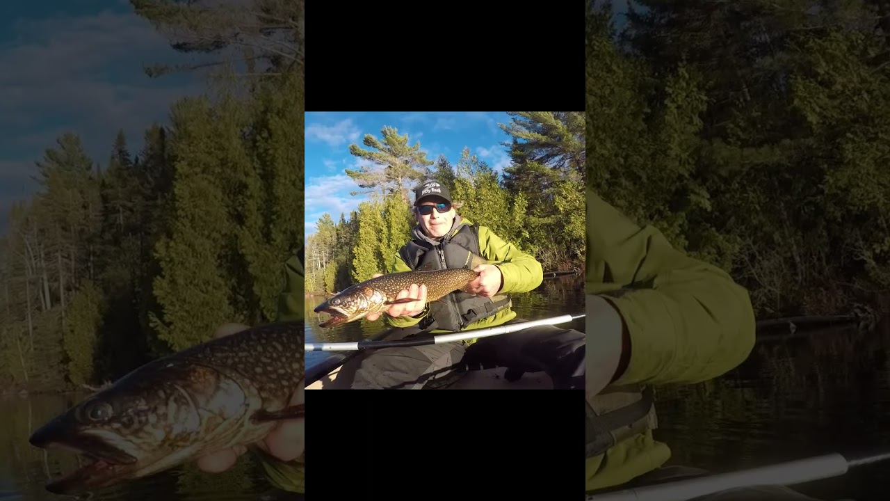 Spring Trout Canoe Trip #backcountryfishing #fishing #canoecamping