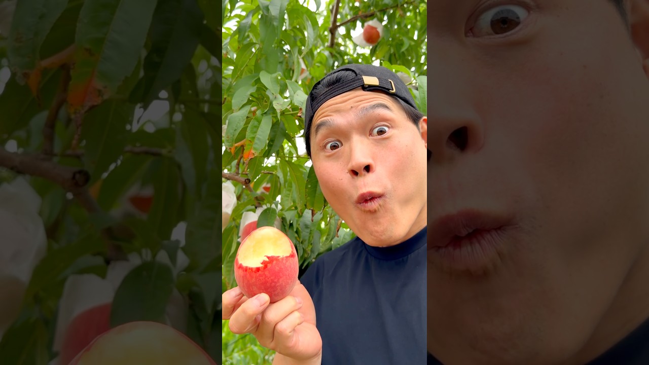 Trying Peach Recipes 🍑